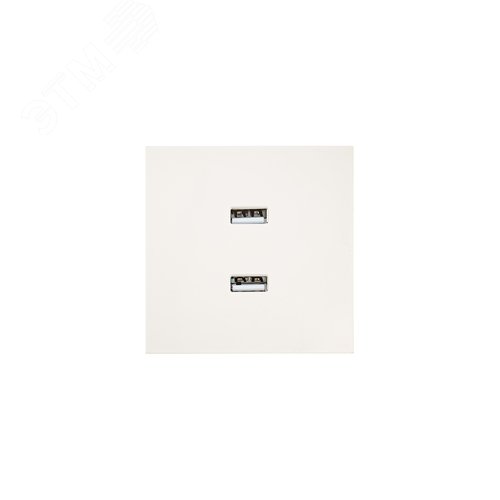 ZIMA Розетка 2-ая USB, механизм, слоновая кость Lezard 704-9088-192