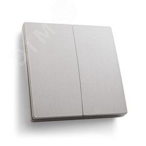 Кнопка-выключатель беспроводной 230V 500W двухклавишный, серебро