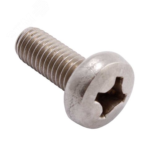 Винт с полукруглой головкой. шлиц TORX ИСО 7380-1 А2 M 3X6/6 TX10