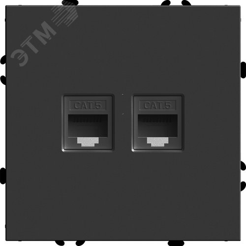 Розетка компьютерная 2-местная RJ-45 (механизм), серия Эмили,, черный уголь, soft touch