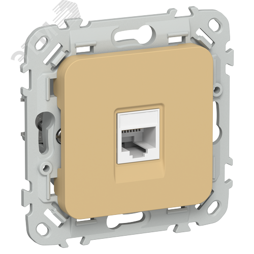 FLITE Розетка компьютерная RJ45 категория 5Е UTP РК5е-1-0-ФлШм шамуа IEK