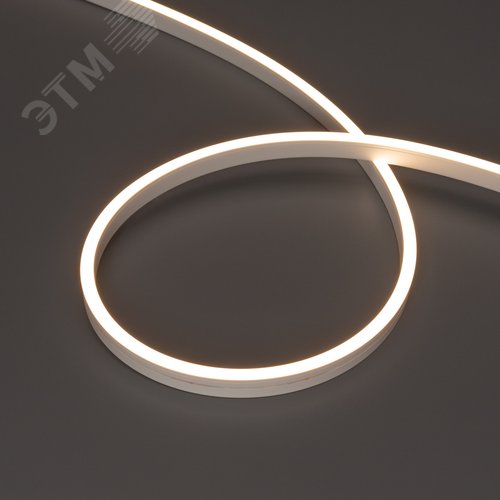 Лента герметичная MOONLIGHT-SIDE-A120-06x12мм 24V Warm3000 9.6 W/m, IP65, 5м, wire x2 вывод кабеля прямой