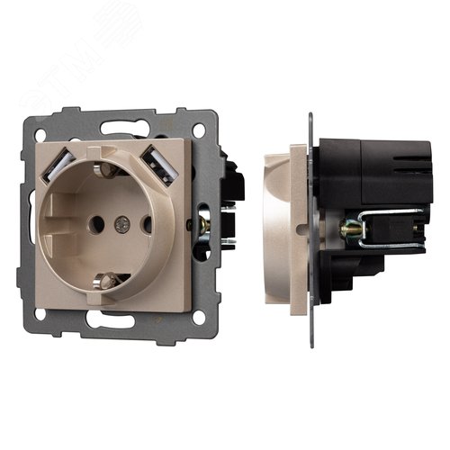 Механизм розетки с USB зарядкой SCT-MUAA-PL-GD-V 250V, 16A