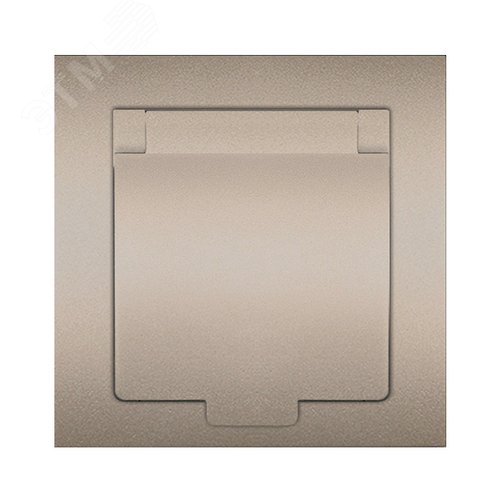 Розетка одноместная с крышкой UNIVersal серия Афинас/з, с/у, 16А, 220В, шампань (еврослот), механизм