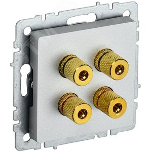 BRITE Аудиорозетка 4 поста РА10-БрА алюминий