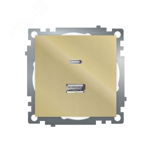 Розетка 2-местная USB+TypeC (механизм) 250В 3А max 20W серия Катрин золото STEKKER