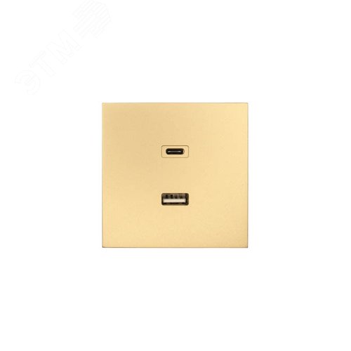 ZIMA Розетка TC+ USB, механизм, золото Lezard 704-3688-192TC