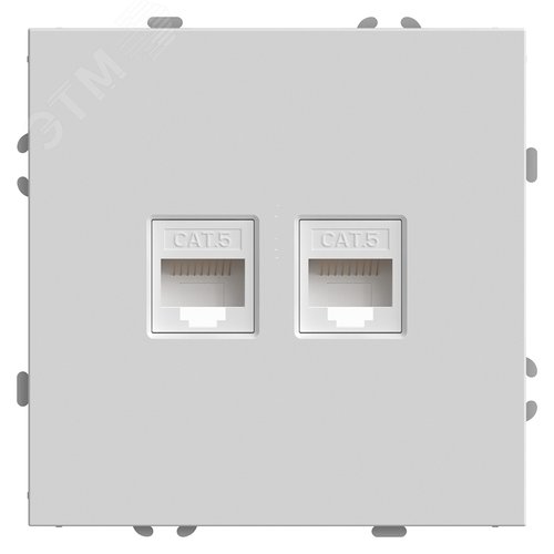 Розетка компьютерная 2-местная RJ-45 (механизм), серия Эмили, белый фарфор, soft touch