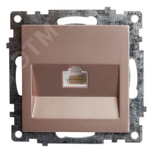 Розетка компьютерная 1-местная RJ-45 (механизм), серия Катрин, шампань