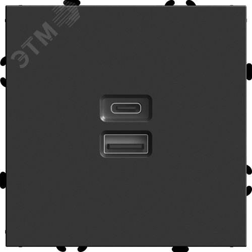 Розетка 2-местная USB + Type C (механизм), 250В, 20W, серия Эмили,, черный уголь, soft touch