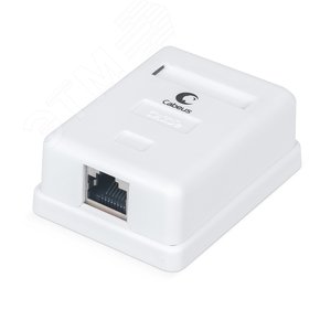 Розетка компьютерная RJ-45(8P8C), категория 5e, экранированная, одинарная, внешняя, Dual IDC
