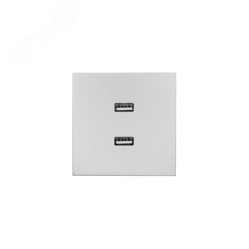 ZIMA Розетка 2-ая USB, механизм, серый матовый Lezard 704-7488-192
