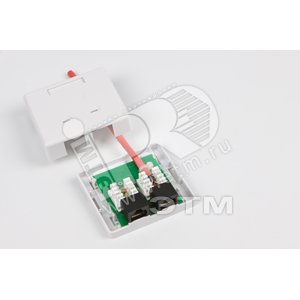 Розетка компьютерная RJ-45(8P8C) категория 5e двойная внешняя Dual IDC(110&Krone type)