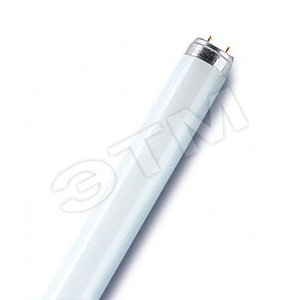 Лампа линейная люминесцентная ЛЛ 36вт L36/765 G13 дневная Osram