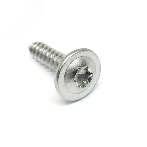 Саморез с прессшайбой. шлиц TORX АРТ 9999 С1 4.2X19 TX20