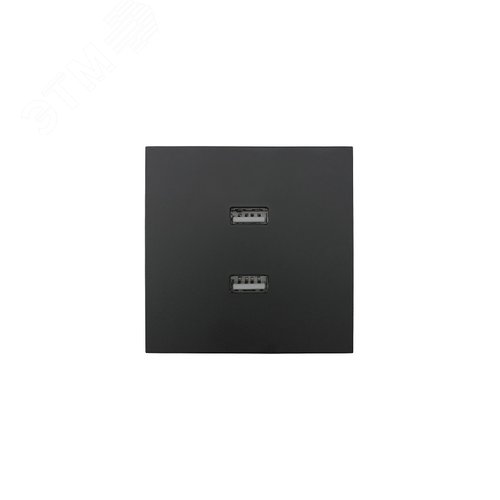 ZIMA Розетка с 2-ая USB, механизм, черный бархат Lezard 704-4288-192