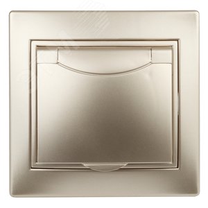 Розетка Intro Plano 1-203-04 с заземлением 2P+E Schuko с крышкой, 16А-250В, IP20, СУ, шампань