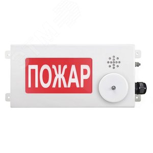 Оповещатель взрывозащищенный свето-звуковое табло ТСЗВ-Exi-Н-Прометей-МИНИ, ''Выход'', З/Б, 12-36В