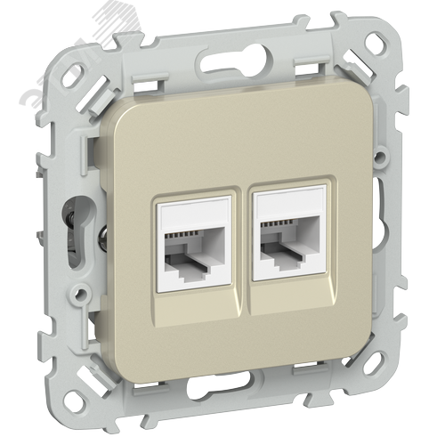 FLITE Розетка 2-местная RJ45/RJ11 категория 5Е/3 UTP РКТ5е/3-2-0-ФлШ шампань IEK
