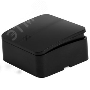 Выключатель двухклавишный с индикатором 250В 10А IP20 серия София черный матовый STEKKER