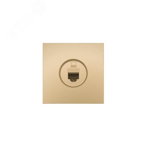 ZIMA Розетка компьютерная золото Lezard 704-3688-139