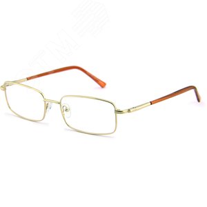 Очки защитные корригирующие О13 Favori Office Standart