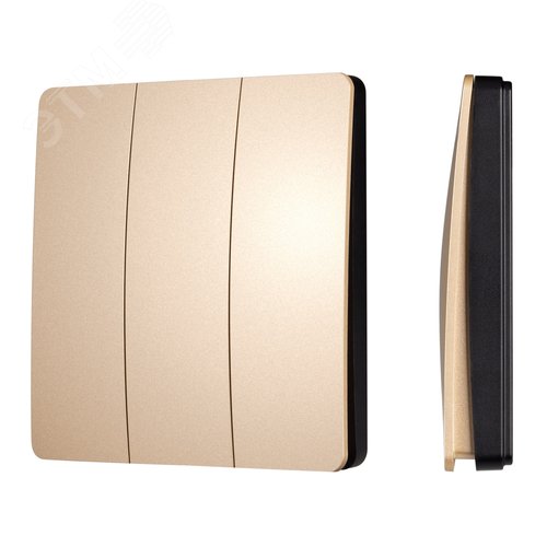 Панель управления кнопочная INTELLIGENT KINETIC-801-22-3G-WP-SUF Gold No battery, IP67, 433Mhz IARL, IP67 пластик, 3 года