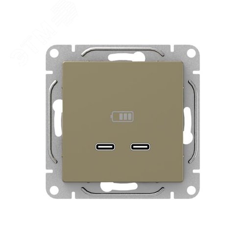 Механизм розетки USB-C - 2шт  шампань Эпика EKF