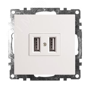 Розетка 2-местная USB (механизм), 250B, 2,4А, серия Катрин, белый Stekker