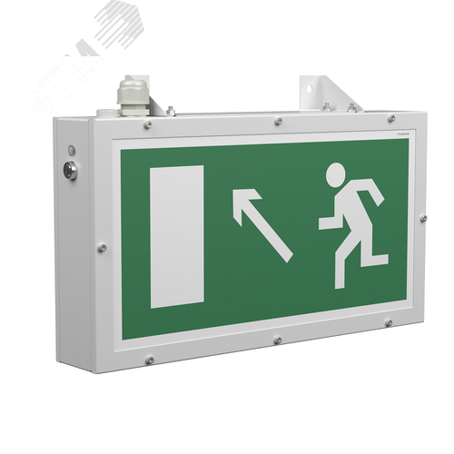 Оповещатель пожарный световой BS-FLAGMAN-10-F1-24