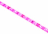 Светодиодная лента для растений FITO-Strip Light-RB-2m красно-синего спектра, 2 м, IP65