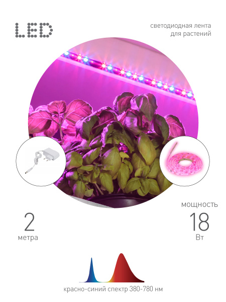 Светодиодная лента для растений FITO-Strip Light-RB-2m красно-синего спектра, 2 м, IP65