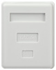 Розетка компьютерная RJ-45 категория 5е экранированная 1-порт упаковка 40 шт.