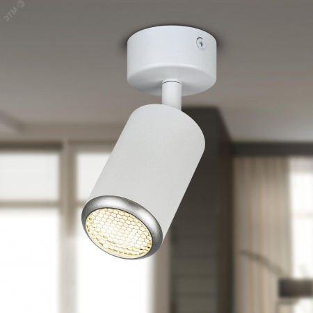 Светильник настенно-потолочный спот IP20 белый/серебро OL55 WH/SL MR16 GU10 ЭРА