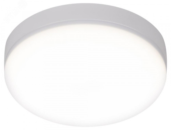 Светильник светодиодный LED 15-24-4K накладной круглый 24Вт 4000К