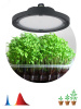 Фитопрожектор для растений светодиодный FITO-50W-RB-LED-UFO красно-синего спектра 50 Вт IP65