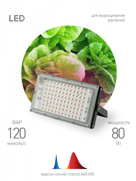Фитопрожектор для растений светодиодный FITO-80W-RB-LED-Y красно-синего спектра