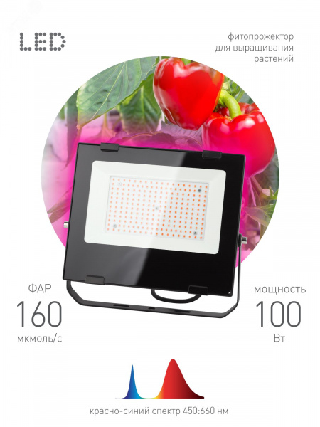 Прожектор красно-синего спектра FITO-100W-RB-LED