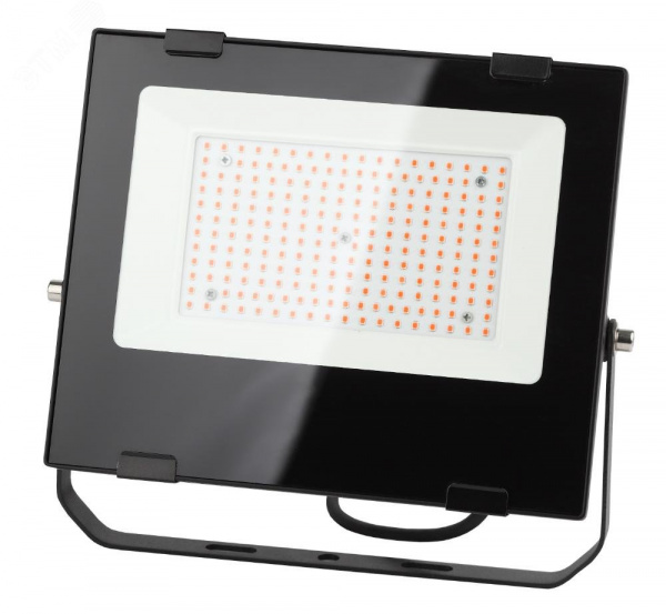 Прожектор красно-синего спектра FITO-100W-RB-LED