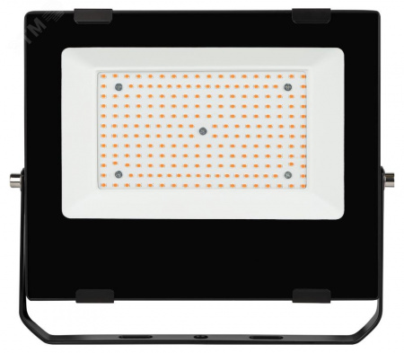 Прожектор красно-синего спектра FITO-100W-RB-LED