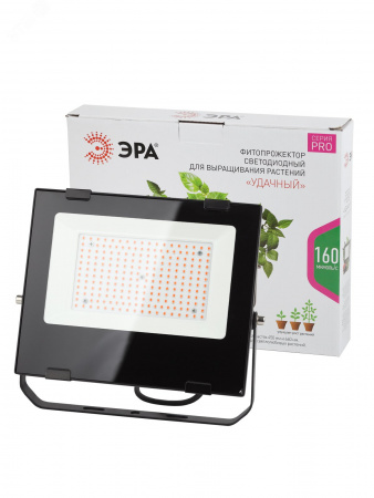 Прожектор красно-синего спектра FITO-100W-RB-LED