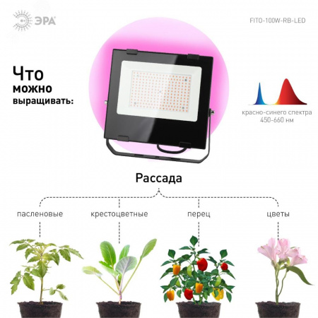 Прожектор красно-синего спектра FITO-100W-RB-LED