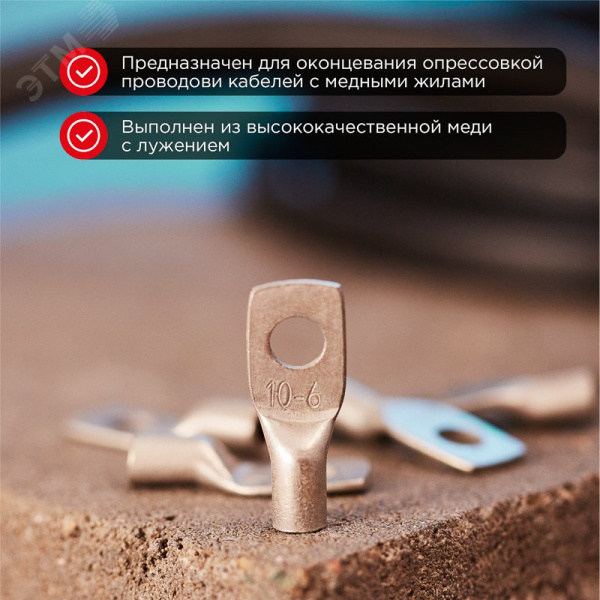 Наконечник медный луженый ТМЛ-Р 10–6 (10кв мм - 6мм) 5шт, REXANT