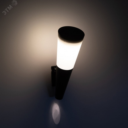 Светильник уличный  ERAFS012-09 на солнечной батарее настенный Факел RGB 1 LED