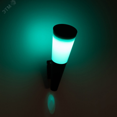 Светильник уличный  ERAFS012-09 на солнечной батарее настенный Факел RGB 1 LED