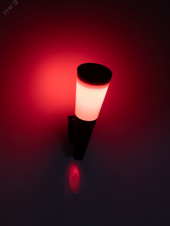 Светильник уличный  ERAFS012-09 на солнечной батарее настенный Факел RGB 1 LED