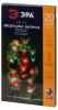 Светодиодная новогодняя фигура Дед Мороз 2, 24*45см, 20 LED, 3*AAA, IP20 ENGDS-16