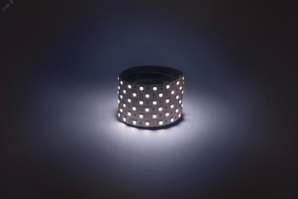 Лента светодиодная 14,4Вт/м 12В 6500К IP20 60LED/м LS5050-14,4-60-12-6500K-IP20-1 year-5m
