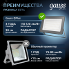 Прожектор светодиодный ДО 100 Вт 12000 лм 6500К AC 220В Черный IP65 210х32х283мм матированное закаленное стекло Qplus Gauss