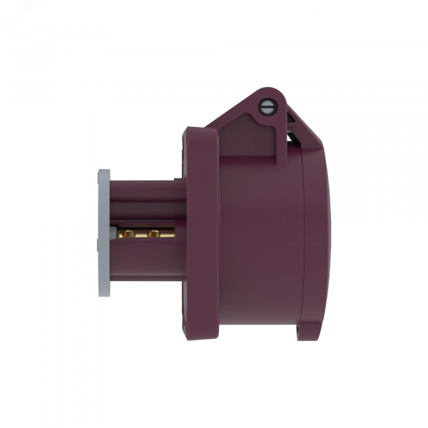 Розетка панельная PSS IP44 16A 2P 25В